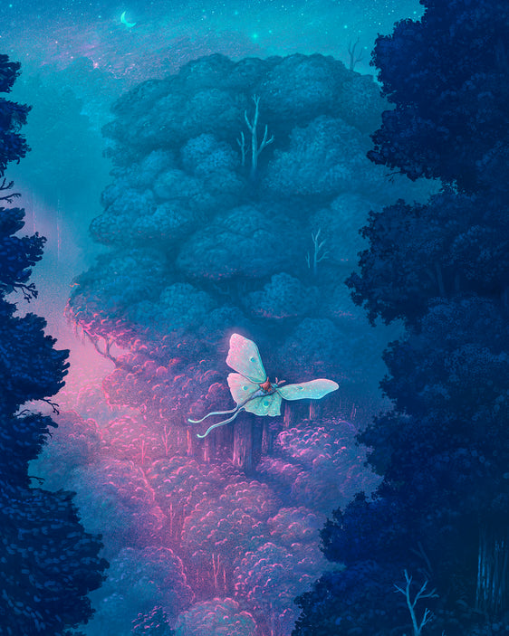 Gliding Quiet Heights
